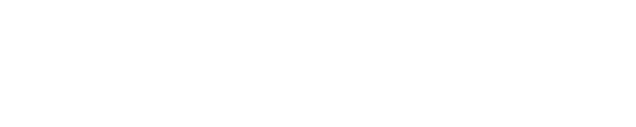 IRV — International Restaurant Village. Eat global. Live local.